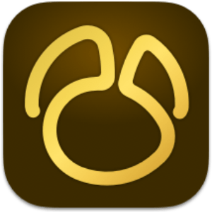 Navicat Premium 17.2.8